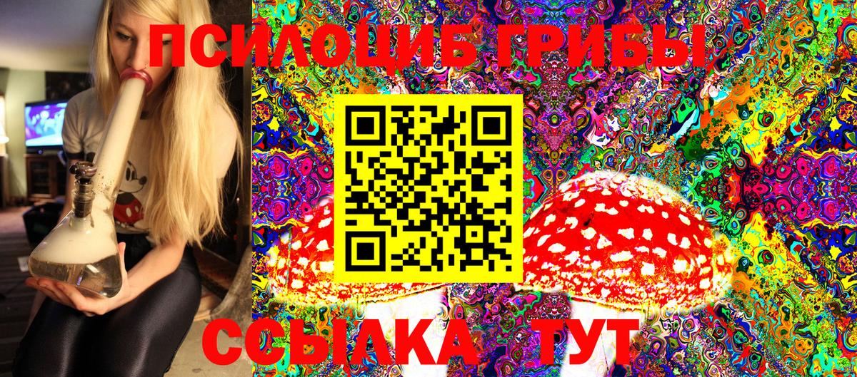 Псилоцибиновые грибы Cubensis Дмитров