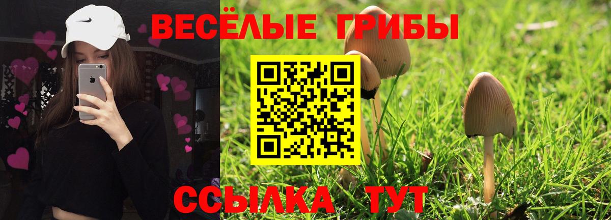 Галлюциногенные грибы мухоморы  Вход с VPN  Дмитров 